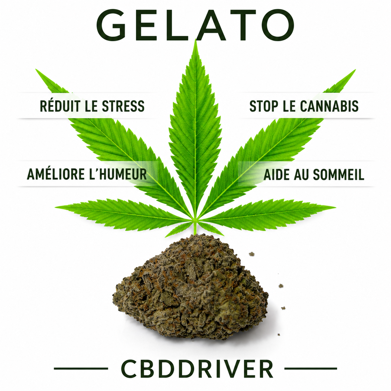 GELATO