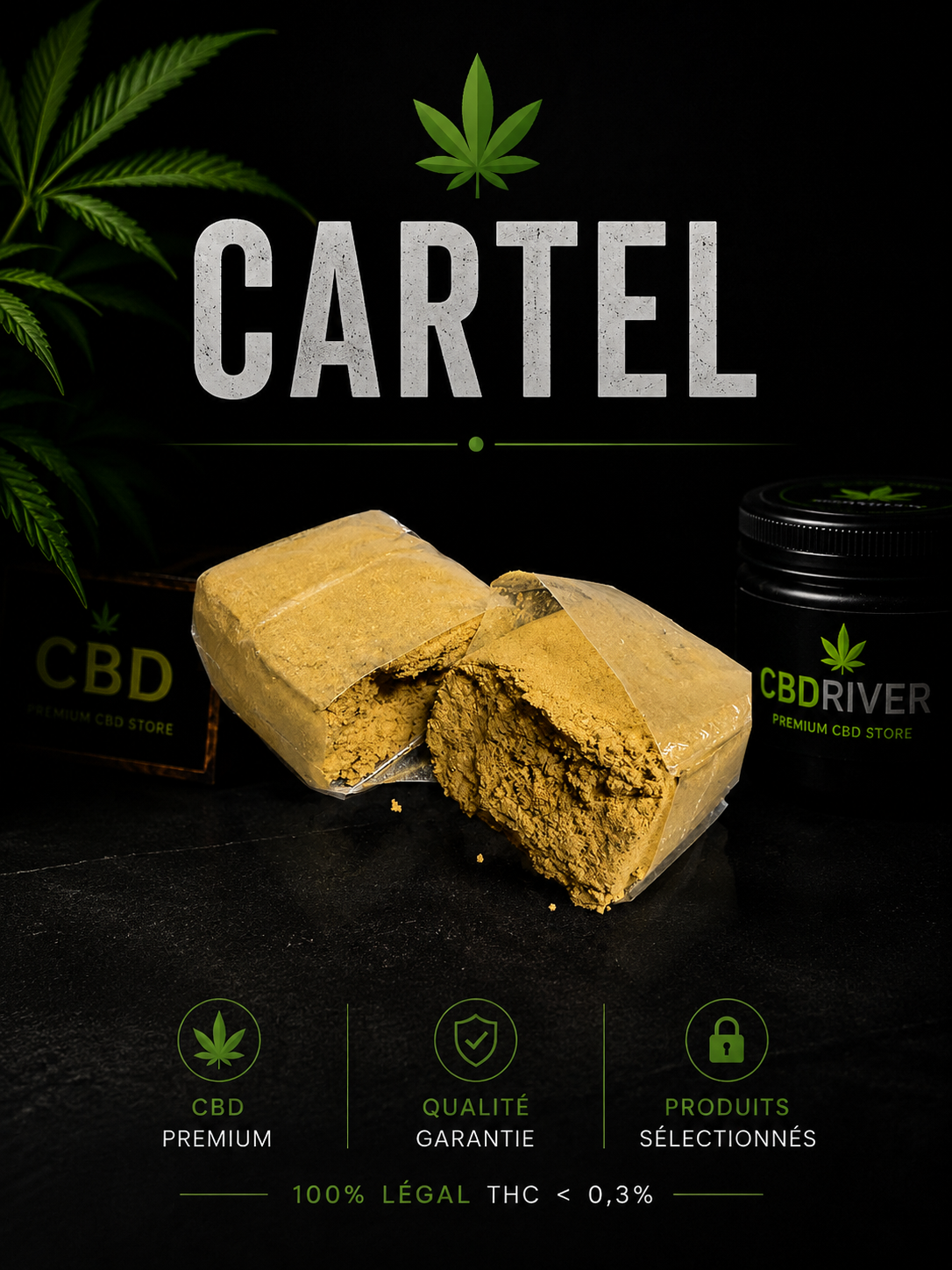 JAUNE MOUSSEUX CARTEL