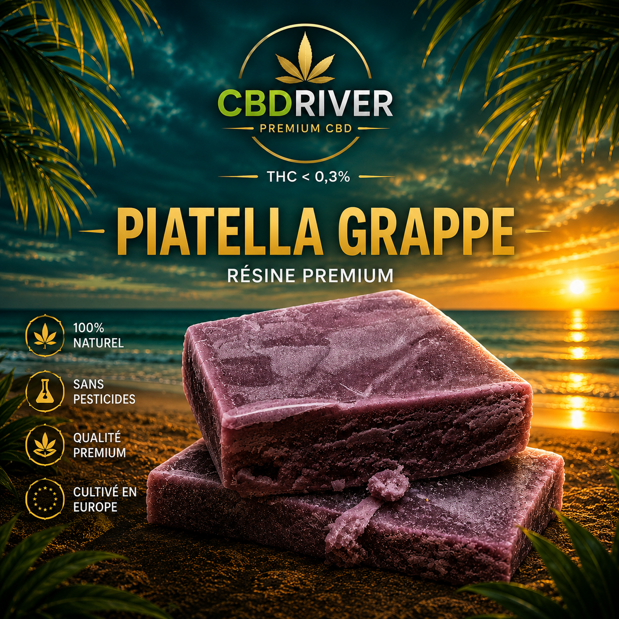 PIATELLA GRAPPE