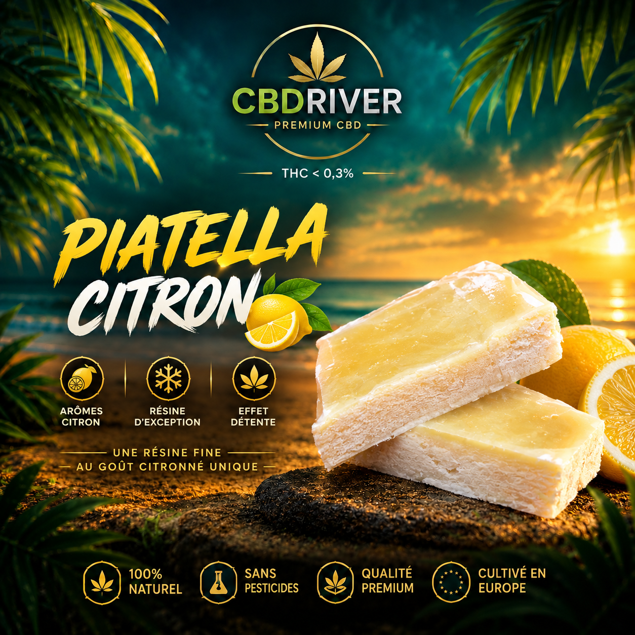 PIATELLA CITRON